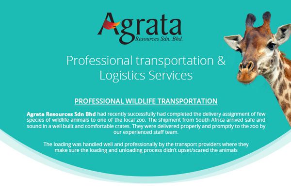 Professional transportation and Logistics Services